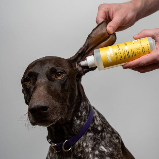 Anti-Itch Essential Ear Cleanser for Dogs