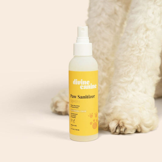 Alcohol-Free Dog Paw Sanitizer Spritz