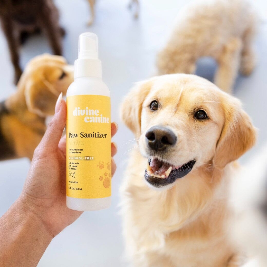 Alcohol-Free Dog Paw Sanitizer Spritz