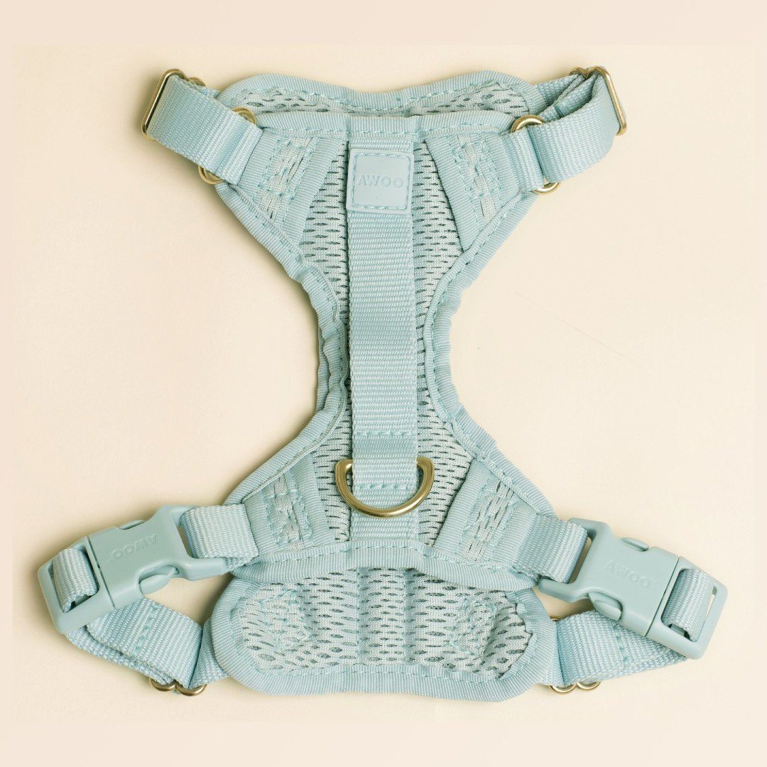 Multi-Clip Eco-Friendly Huggie Harness in Peachy Pink