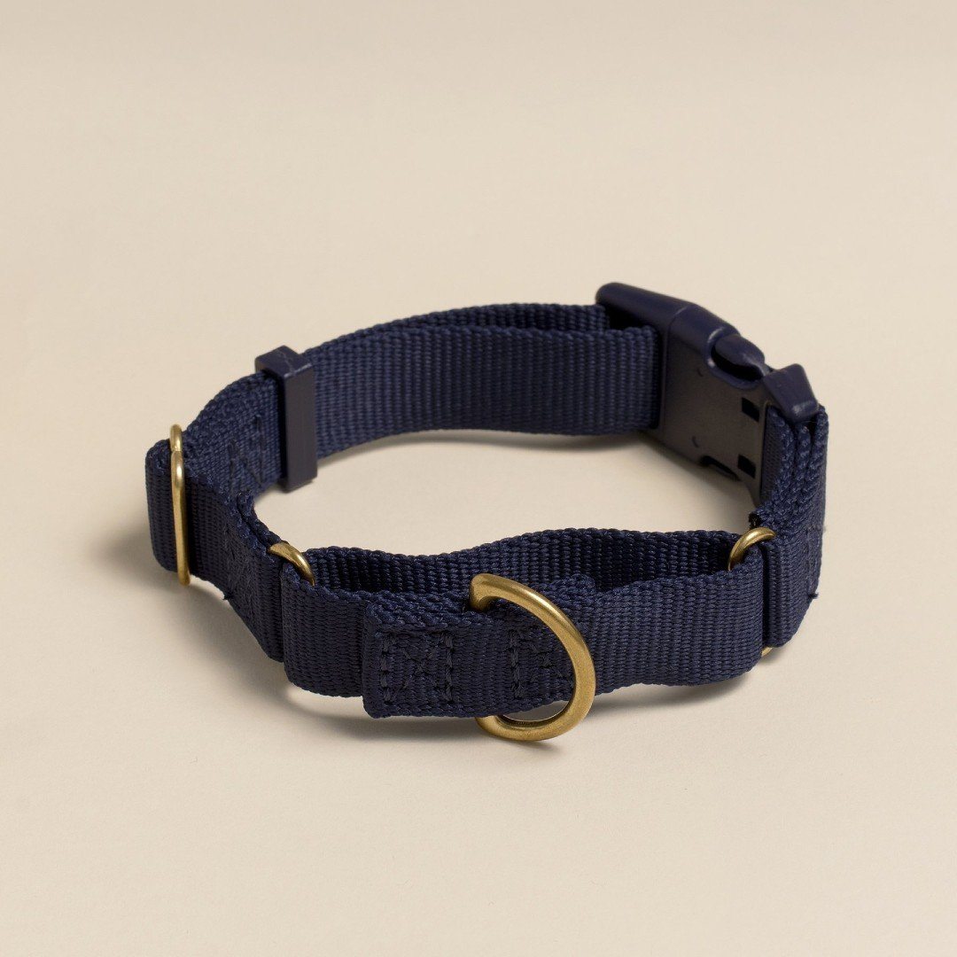 Martingale Eco-Friendly Collar in Sky Blue