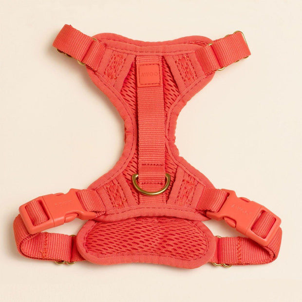 Multi-Clip Eco-Friendly Huggie Harness in Peachy Pink