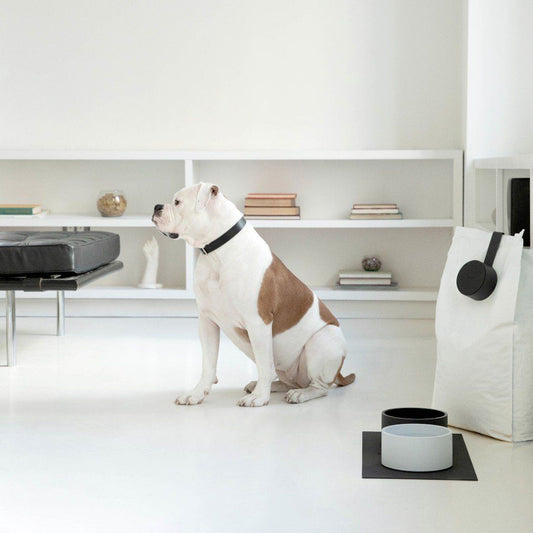 Classic Essential Dog Bowl in Soft Gray