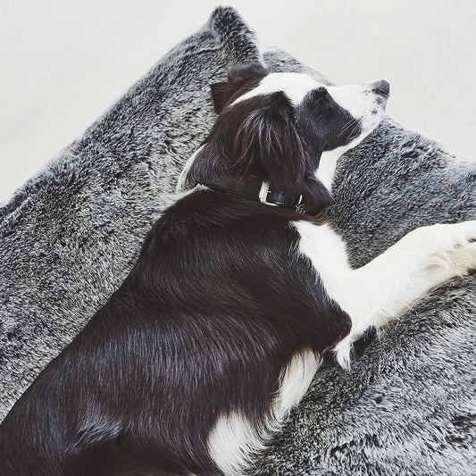 Soft Luxurious Faux Fur Dog Bed - This Dog's Life