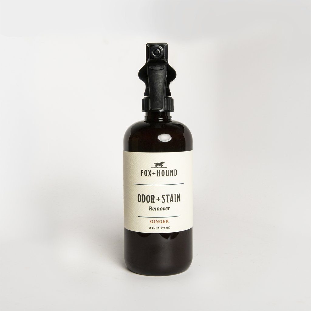 Bio-Enzymatic Dog Stain Remover in Ginger