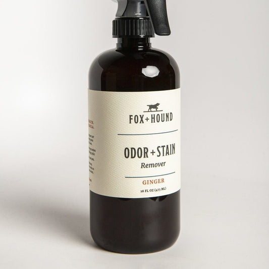 Bio-Enzymatic Dog Stain Remover in Ginger