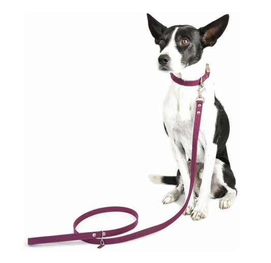 Vegan Eco-Friendly Canvas Leash in Ebony Black - This Dog's Life