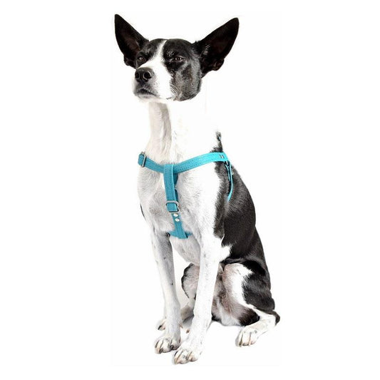 Vegan Eco-Friendly Canvas Harness in Tangerine Orange - This Dog's Life