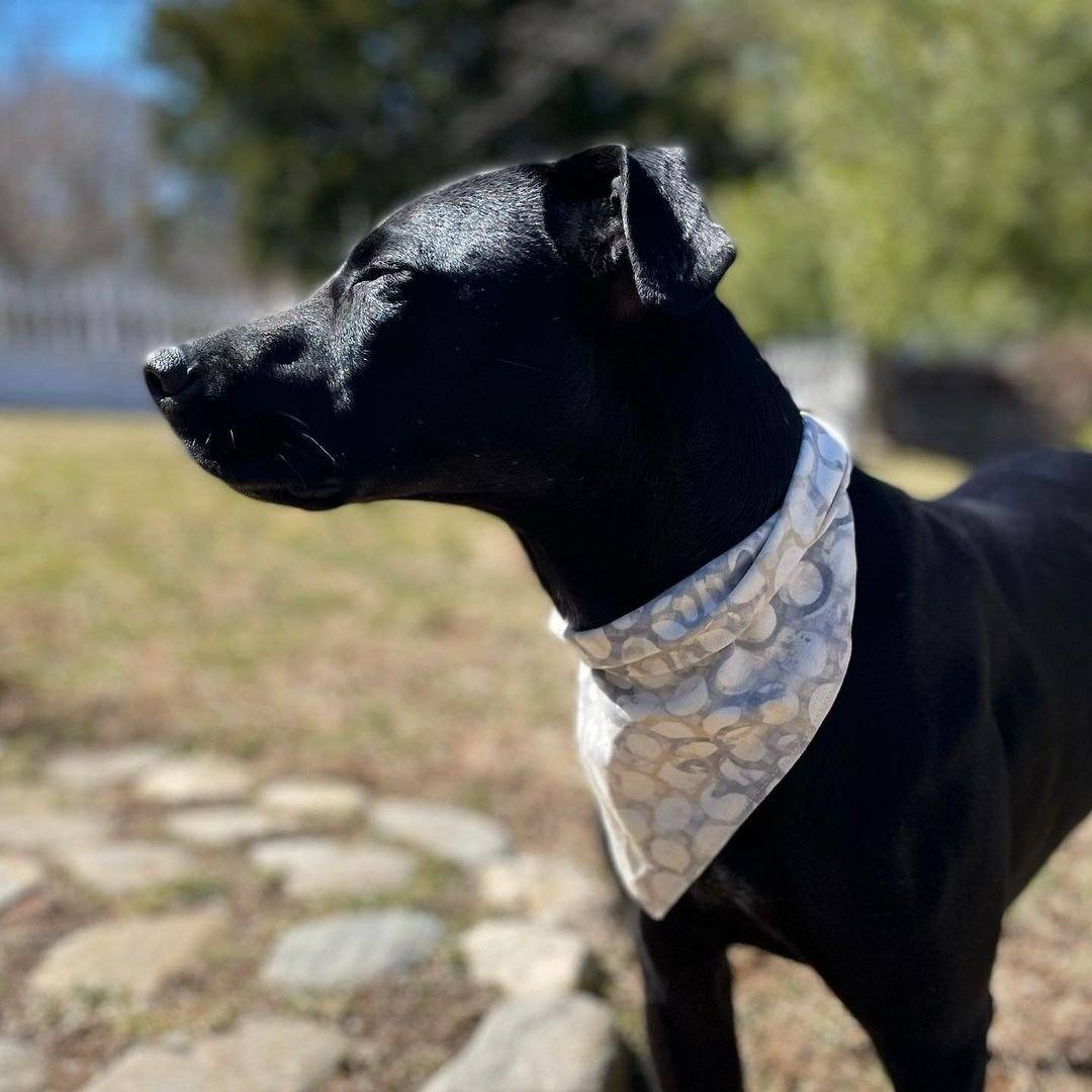 Linen Dog Bandana in Abstract Circular Pattern