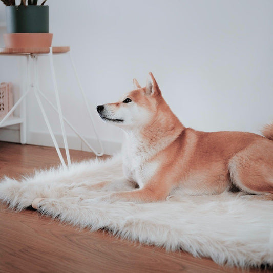 Ultimate Faux Fur Dog Blanket in Snow White
