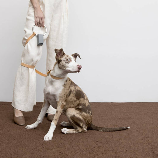 Circular Handle Leather Leash in Natural and Silver
