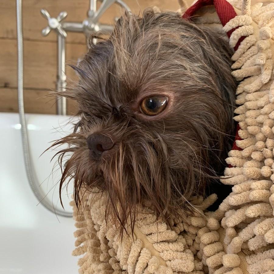 Dog Bath Towel with Hand Pockets in Microfiber Chenille
