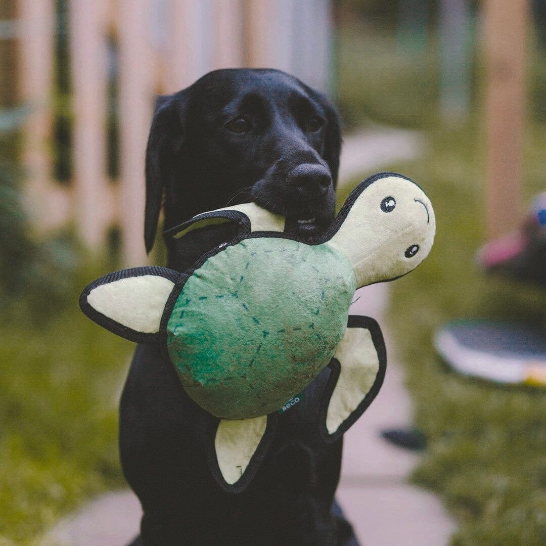 Eco-Friendly Turtle Squeaky Toy