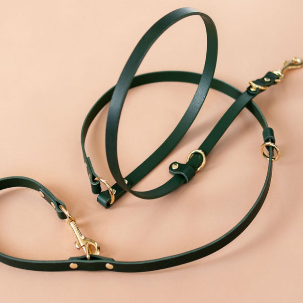 The Essential 5-in-1 Leather Leash in Jade Green - This Dog's Life