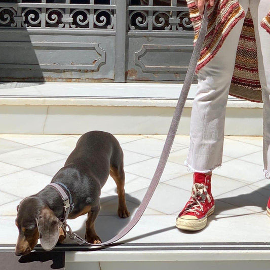 Adjustable Dog Leash in Scarlet Red Weave - This Dog's Life