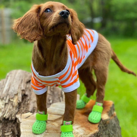 WagWellies Summer Paw Protector Dog Booties in Lime Green