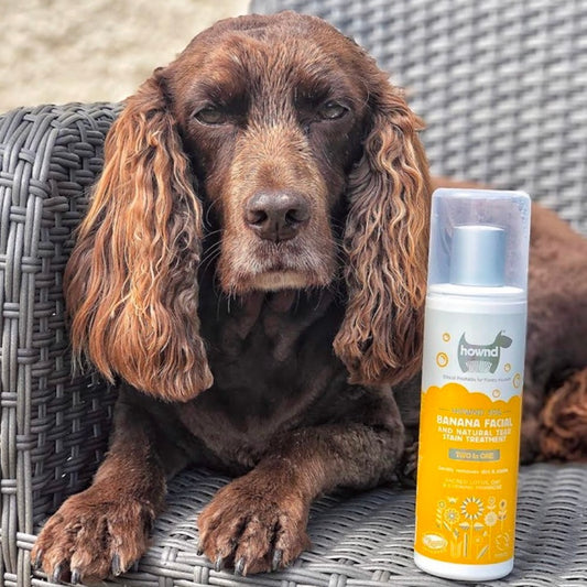 Dog Facial and Natural Tear Stain Treatment in Banana