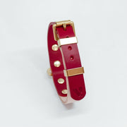 Two-Tone Leather Collar in Red and Nude - This Dog's Life