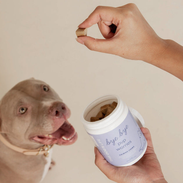 The Pupsicle Will Soothe Puppies Who Need to Chill · The Wildest