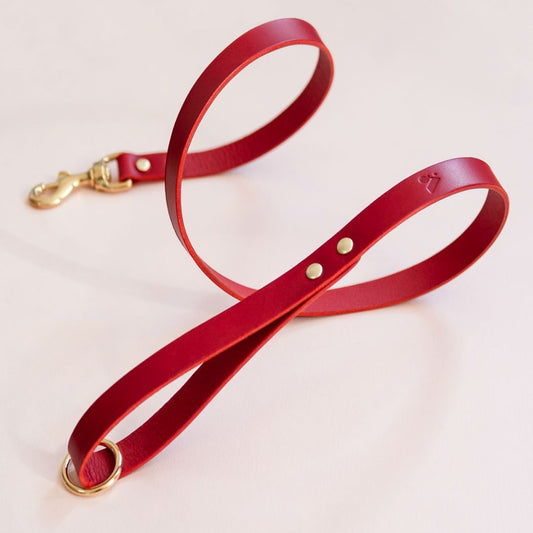 The Essential Classic Leather Leash in Ruby Red - This Dog's Life