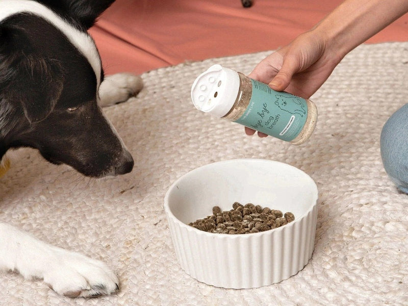 Advanced Bye Bye Dog Breath® Oral Care Powder