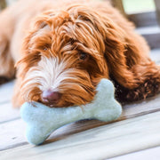 Organic Wool Dog Bone Toy in Aqua Blue