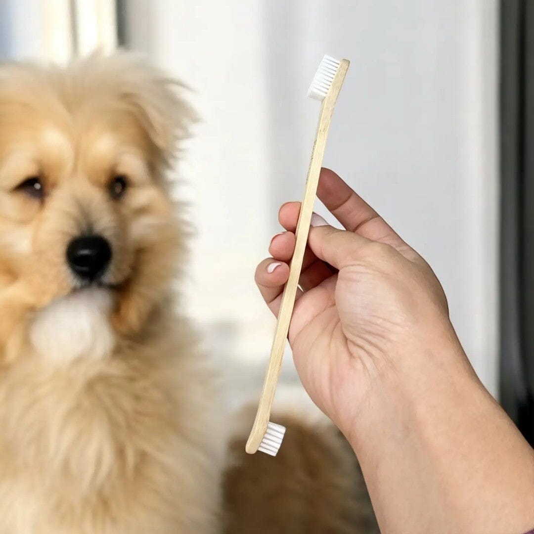 Double-Sided Bamboo Dog Toothbrush