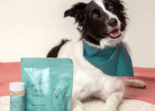 Bye Bye Dog Breath dental kit with dental powder and dental sticks