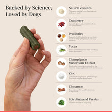 Bye Bye Dog Breath dental kit with dental powder and dental sticks