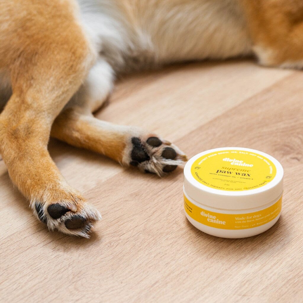 Dual-Action Supreme Paw Wax for Dry, Cracked Paws