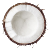 Coconut Fat