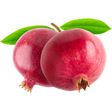 Cranberry
