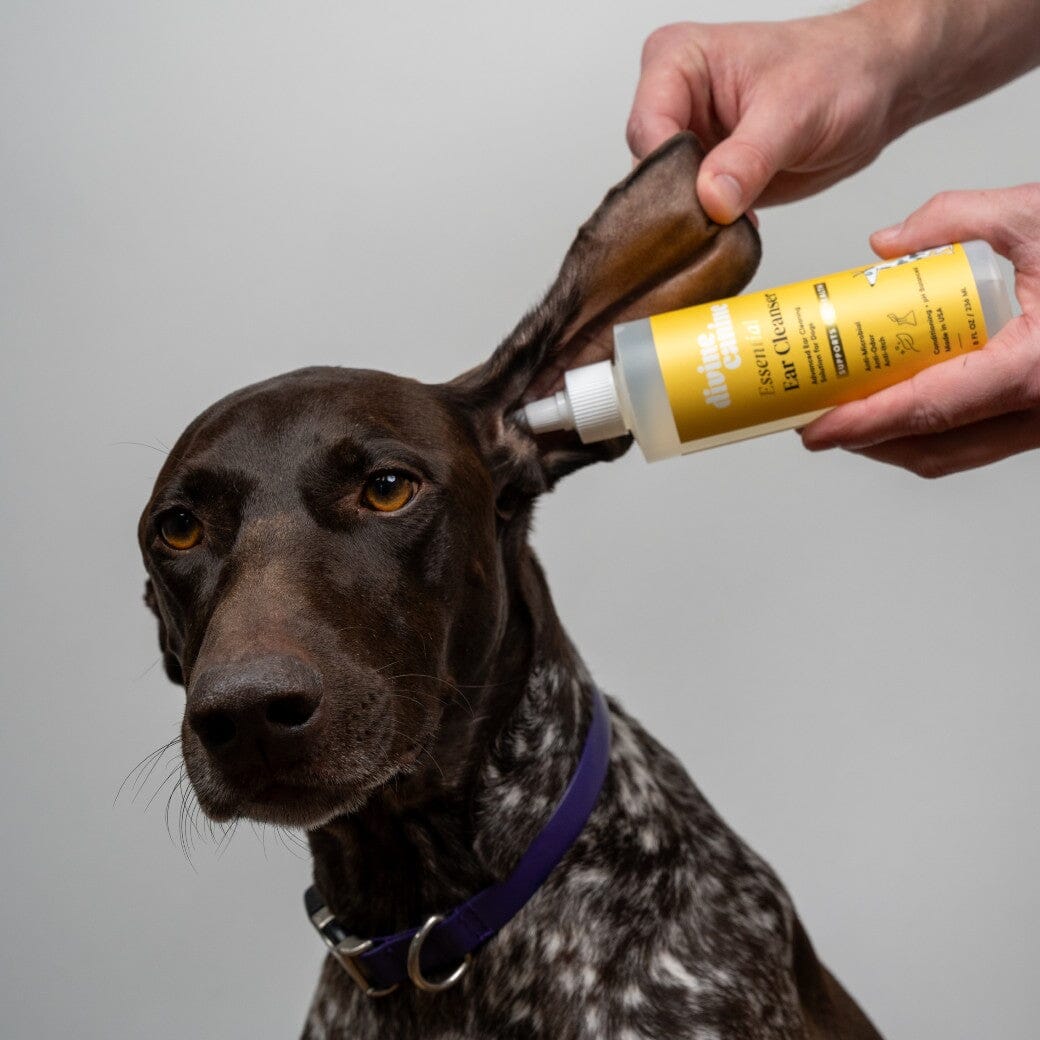 Anti-Itch Essential Ear Cleanser for Dogs
