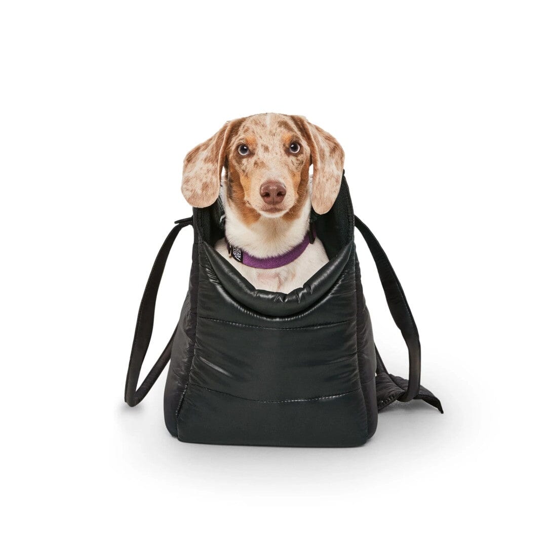 The Everyday Dog Carrier Bag in Jet Black – This Dog's Life