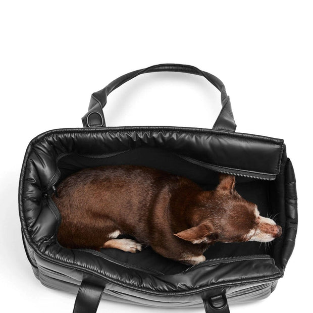 The Everyday Dog Carrier Bag in Jet Black