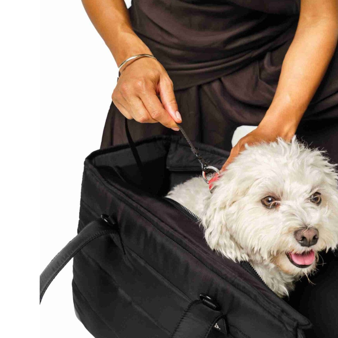 The Everyday Dog Carrier Subway Tote in Black