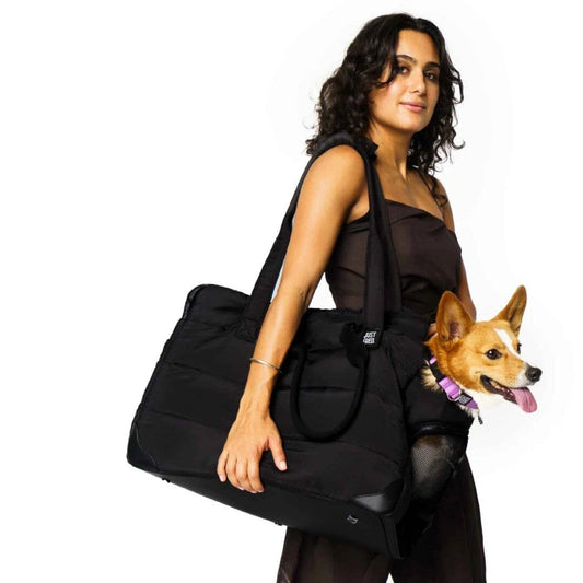 Padded Companion Dog Carrier in Black
