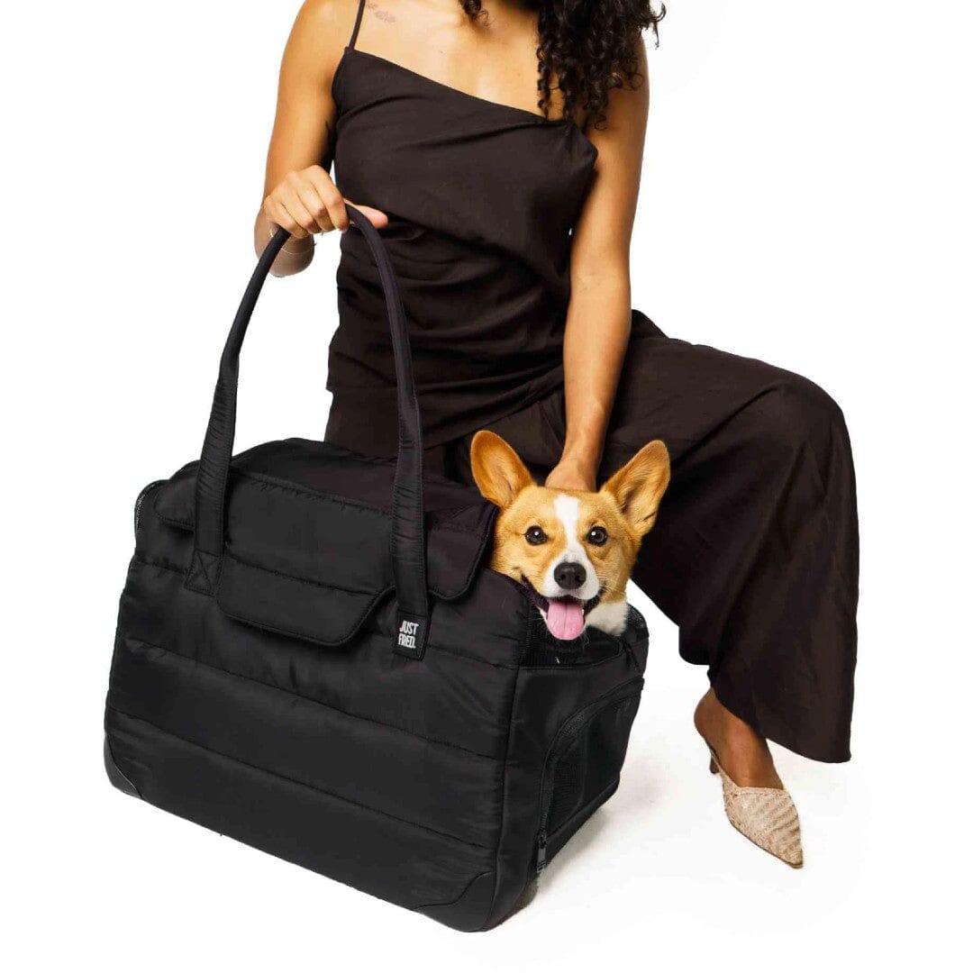 Padded Companion Dog Carrier in Black