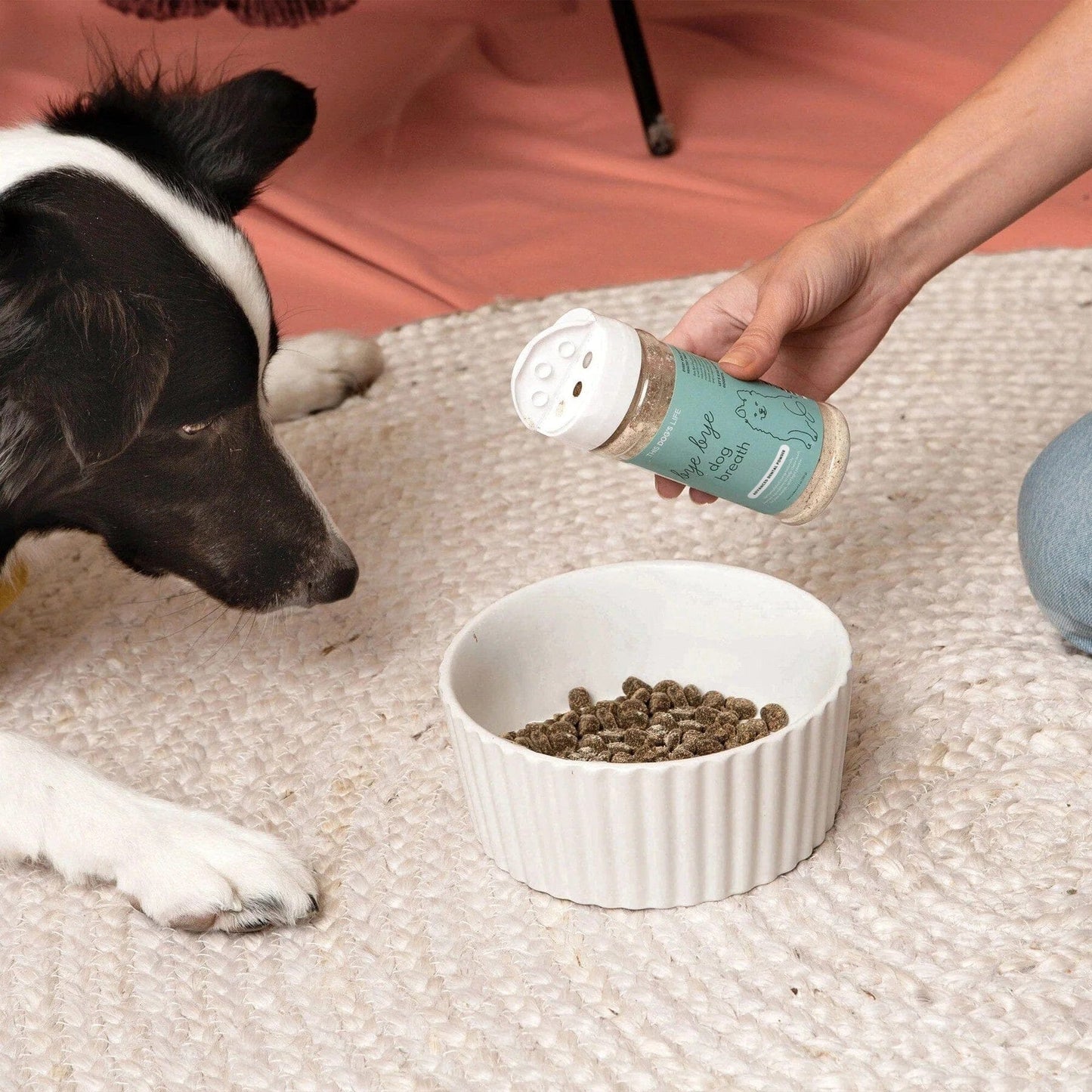 Advanced Bye Bye Dog Breath® Dental Powder