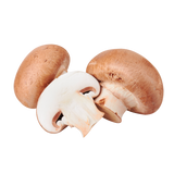 Champignon Mushrooms