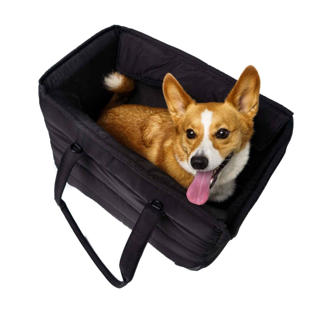 The Everyday Dog Carrier Subway Tote in Black