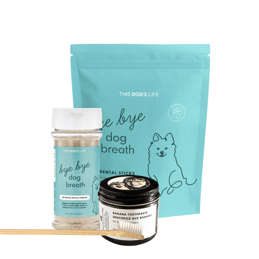 Essential Dog Oral Care Bundle
