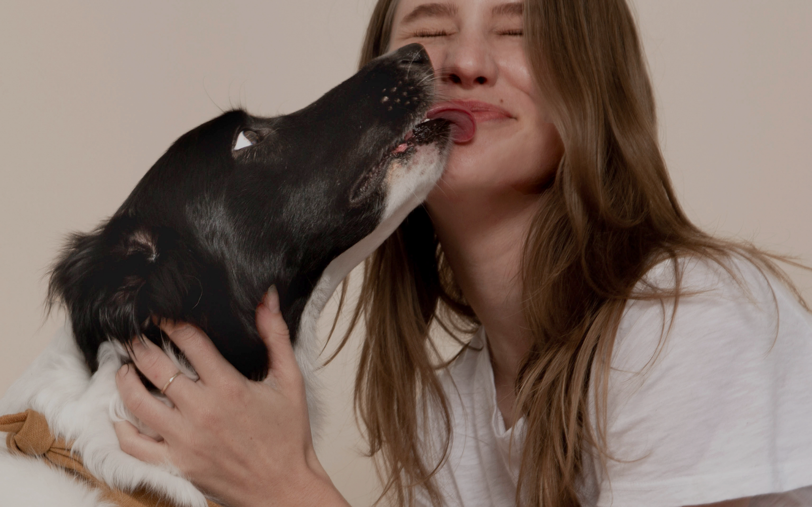 Because your dog deserves the very best in wellness