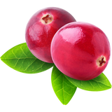 Natural Antioxidants