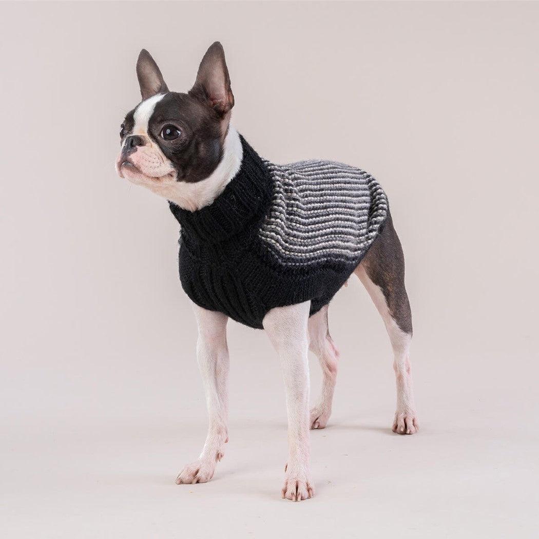 Popcorn Alpaca Wool Dog Sweater in Classic Black