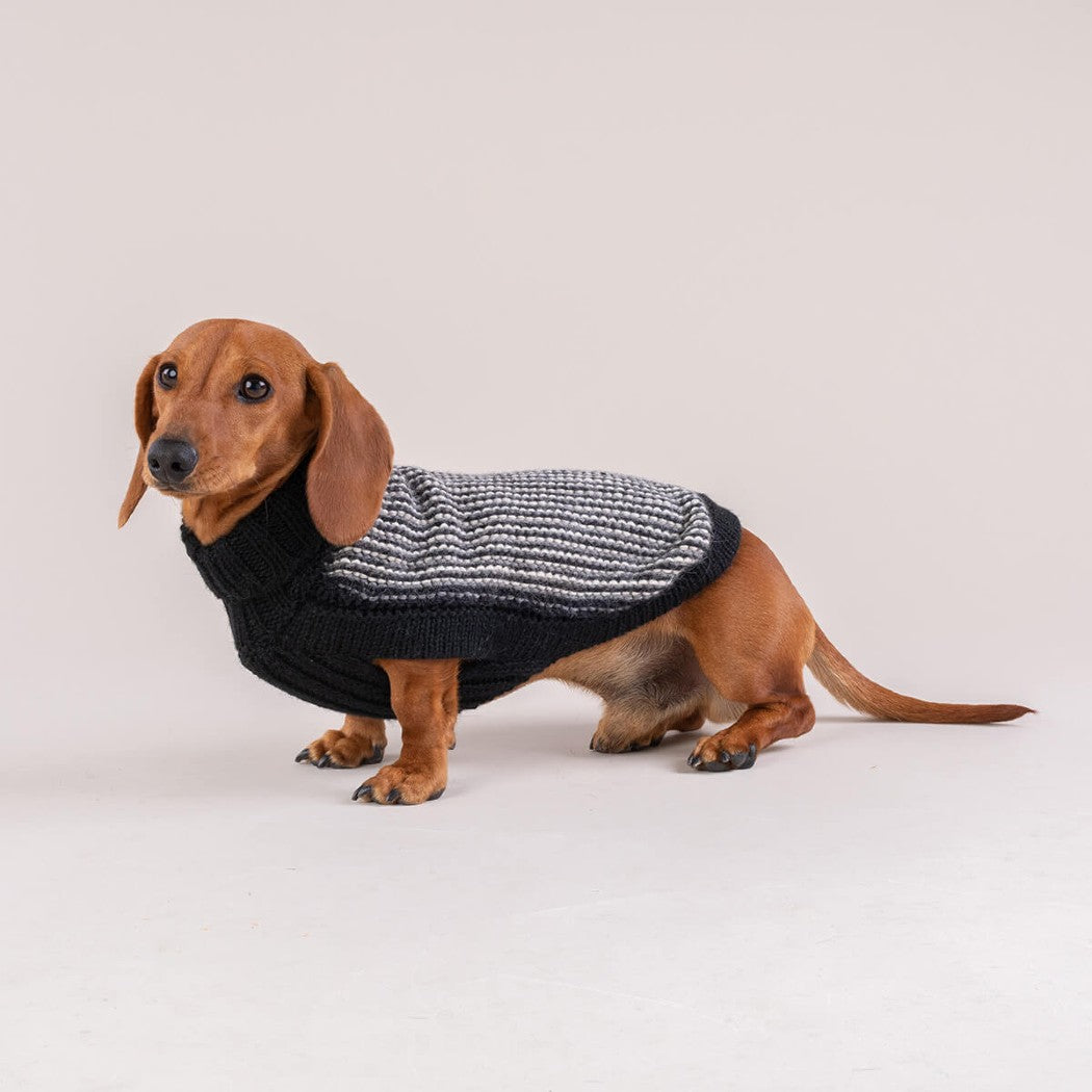 Popcorn Alpaca Wool Dog Sweater in Classic Black