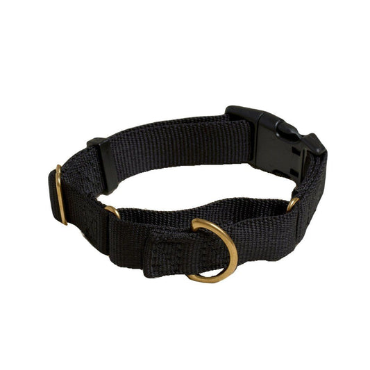 Martingale Eco-Friendly Collar in Black