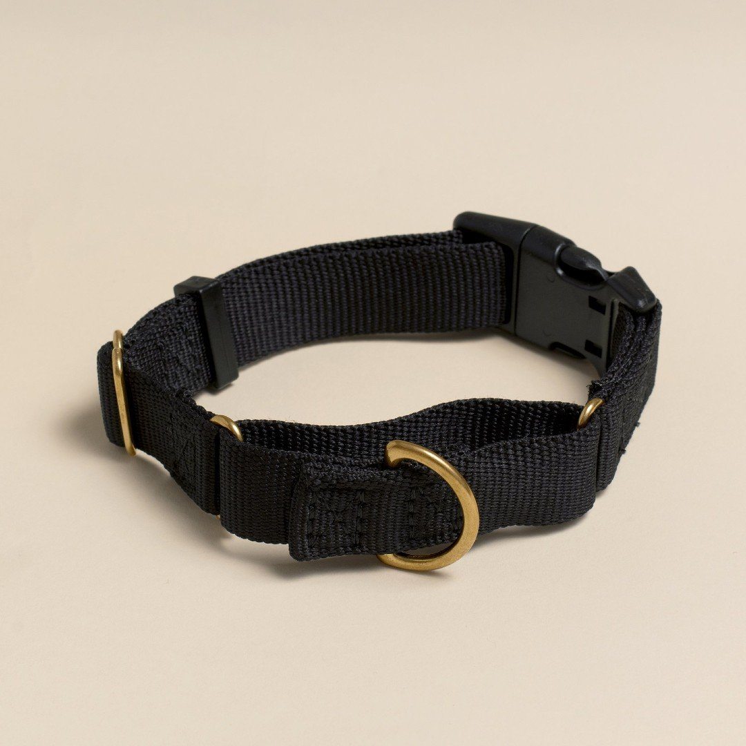 Martingale Eco-Friendly Collar in Peachy Pink