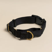 Martingale Eco-Friendly Collar in Navy Blue
