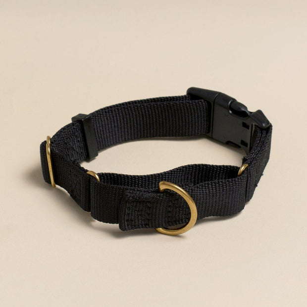 Martingale Eco-Friendly Collar in Navy Blue